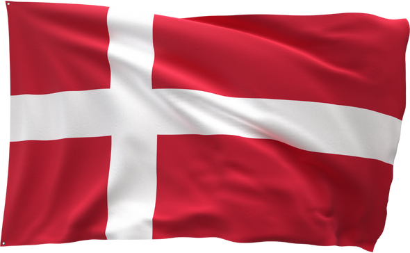 flag icon